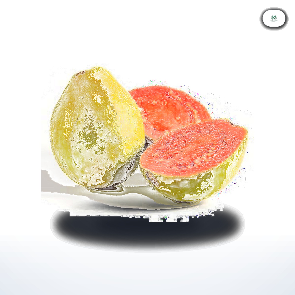 Guayaba Pera Colombiana