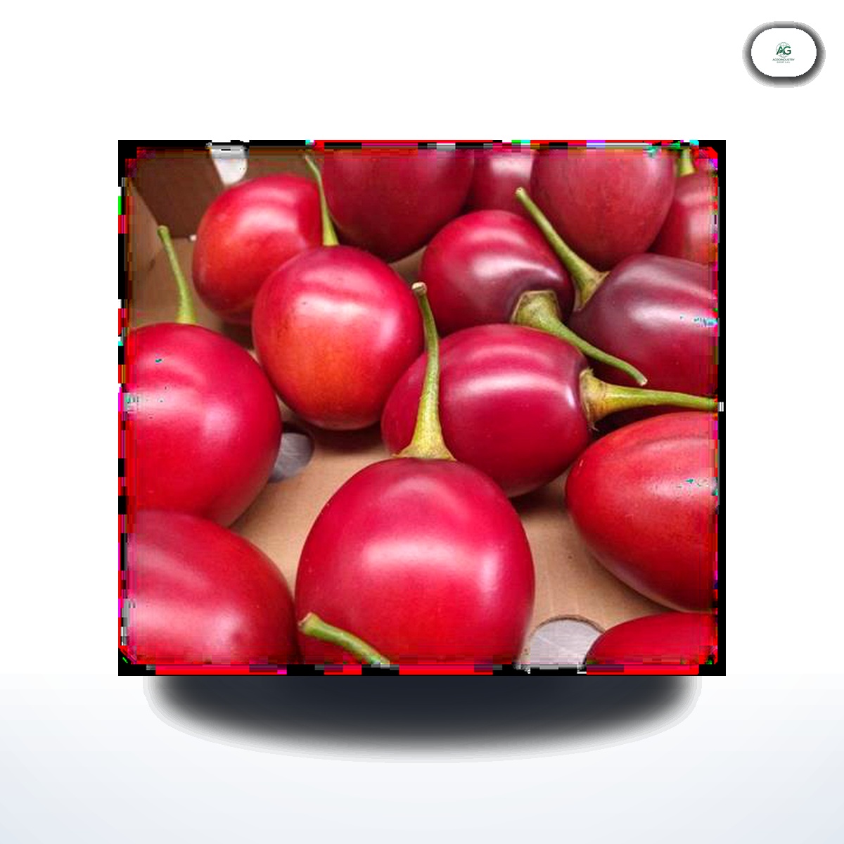 Tamarillo (Tomate de Árbol)